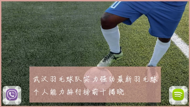武汉羽毛球队实力强劲最新羽毛球个人能力排行榜前十揭晓