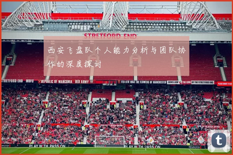西安飞盘队个人能力分析与团队协作的深度探讨