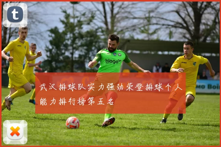 武汉排球队实力强劲荣登排球个人能力排行榜第五名