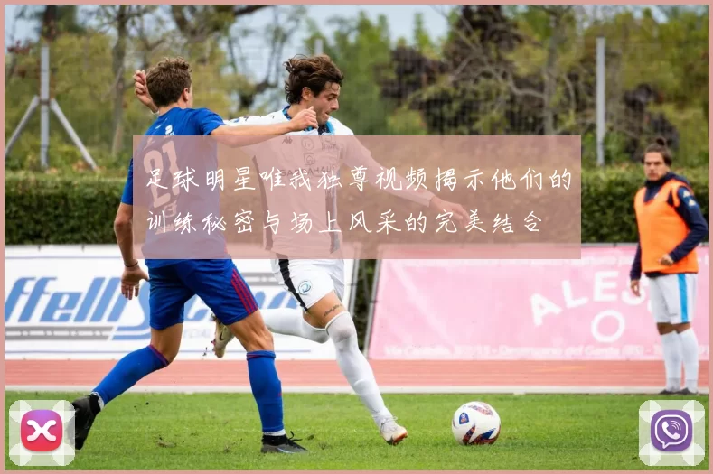 足球明星唯我独尊视频揭示他们的训练秘密与场上风采的完美结合