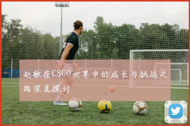 赵敏在CSGO世界中的成长与挑战之路深度探讨