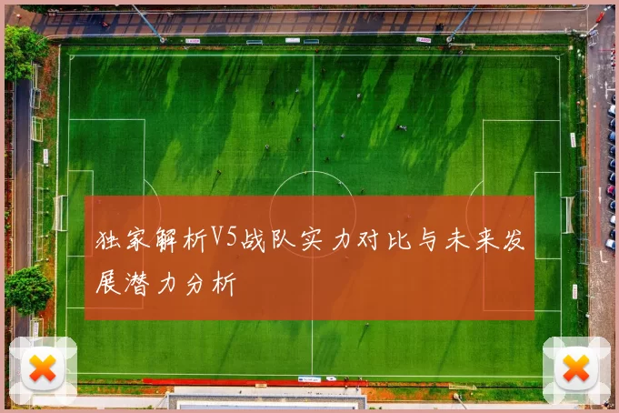 独家解析V5战队实力对比与未来发展潜力分析