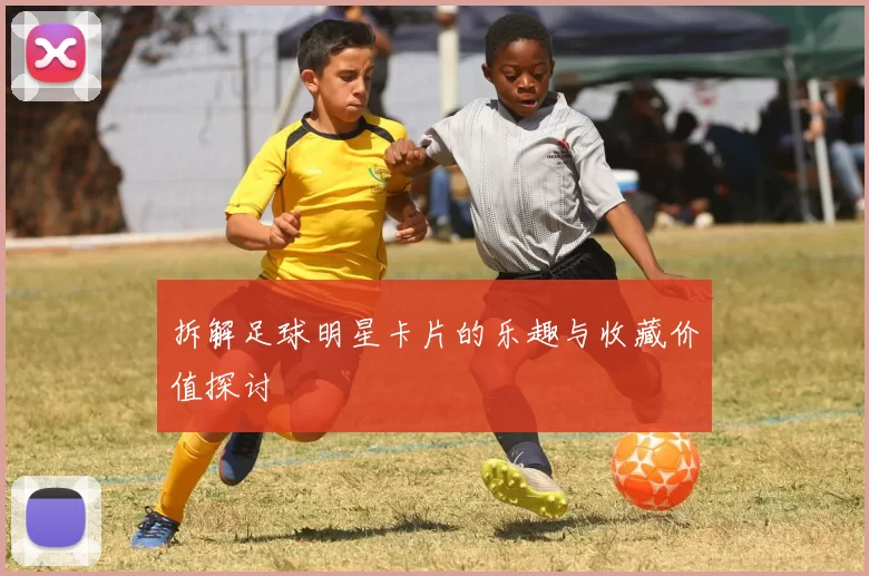 拆解足球明星卡片的乐趣与收藏价值探讨