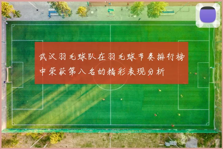 武汉羽毛球队在羽毛球节奏排行榜中荣获第八名的精彩表现分析
