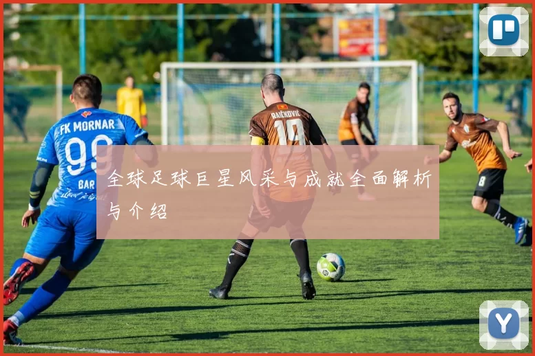 全球足球巨星风采与成就全面解析与介绍