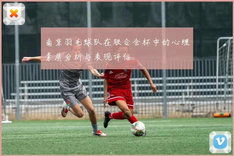 南京羽毛球队在联合会杯中的心理素质分析与表现评估