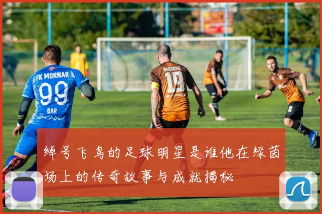 绰号飞鸟的足球明星是谁他在绿茵场上的传奇故事与成就揭秘