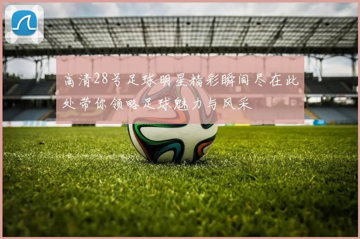 高清28号足球明星精彩瞬间尽在此处带你领略足球魅力与风采