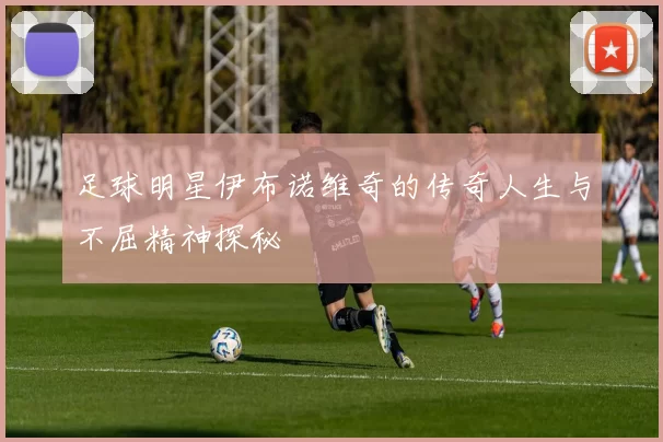 足球明星伊布诺维奇的传奇人生与不屈精神探秘