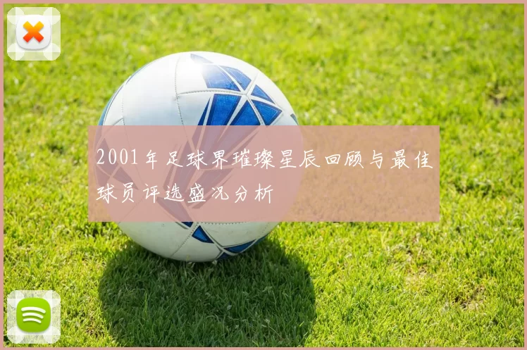 2001年足球界璀璨星辰回顾与最佳球员评选盛况分析