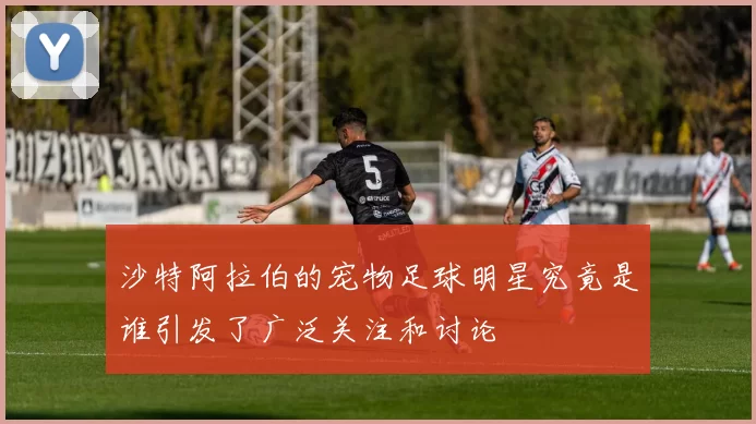 沙特阿拉伯的宠物足球明星究竟是谁引发了广泛关注和讨论