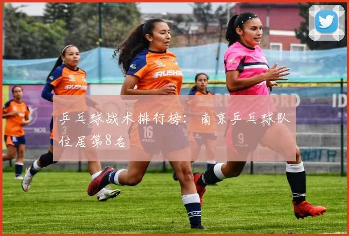 乒乓球战术排行榜：南京乒乓球队位居第8名