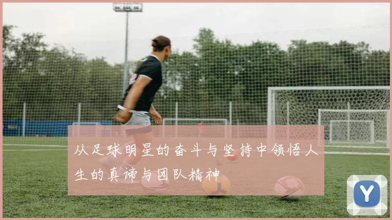 从足球明星的奋斗与坚持中领悟人生的真谛与团队精神