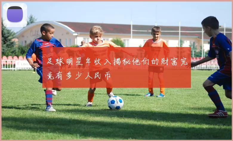 足球明星年收入揭秘他们的财富究竟有多少人民币