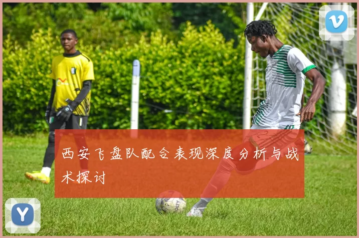西安飞盘队配合表现深度分析与战术探讨