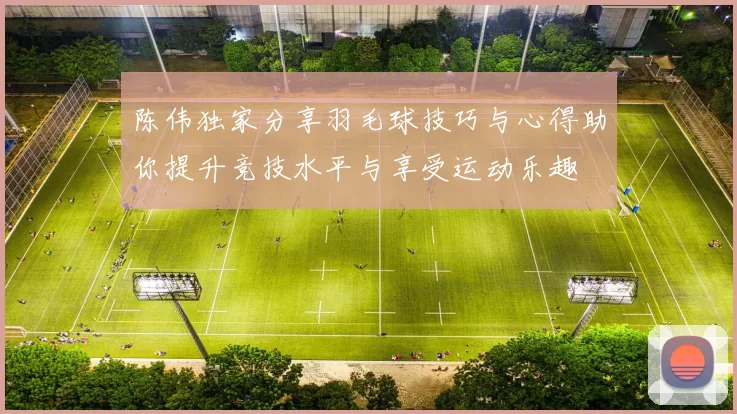 陈伟独家分享羽毛球技巧与心得助你提升竞技水平与享受运动乐趣