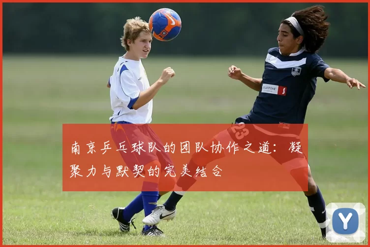 南京乒乓球队的团队协作之道：凝聚力与默契的完美结合