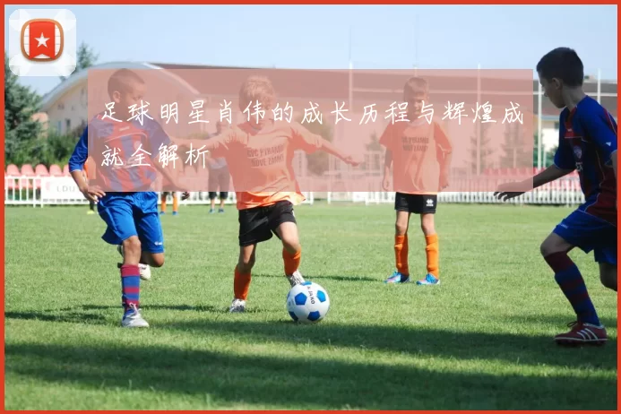 足球明星肖伟的成长历程与辉煌成就全解析