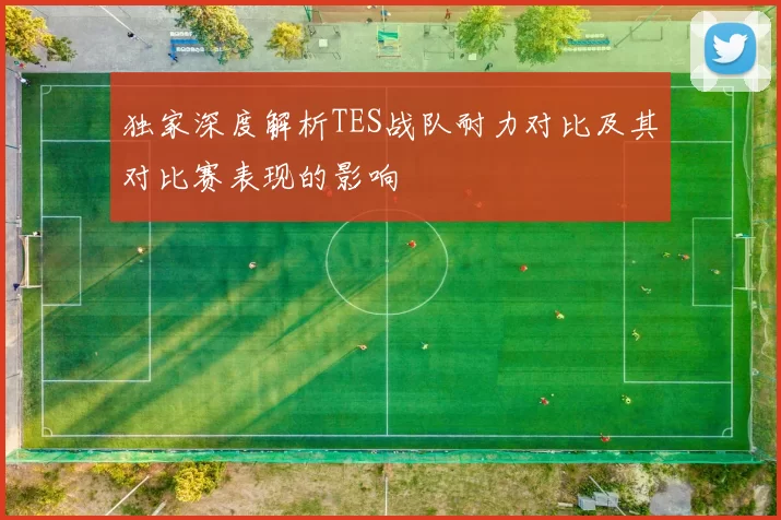 独家深度解析TES战队耐力对比及其对比赛表现的影响