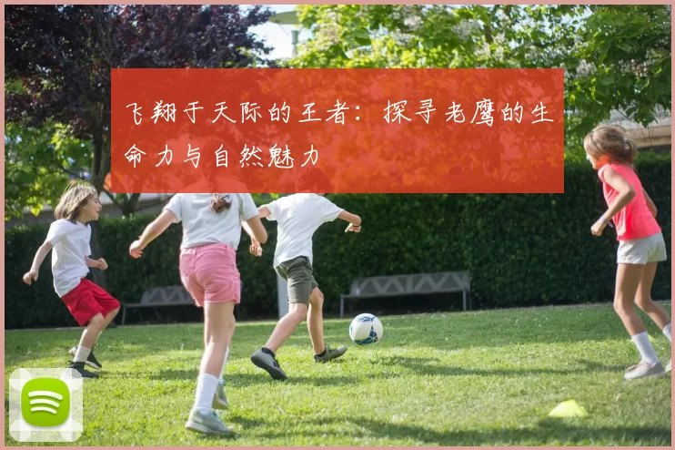 飞翔于天际的王者：探寻老鹰的生命力与自然魅力