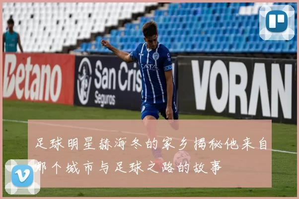 足球明星赫海冬的家乡揭秘他来自哪个城市与足球之路的故事