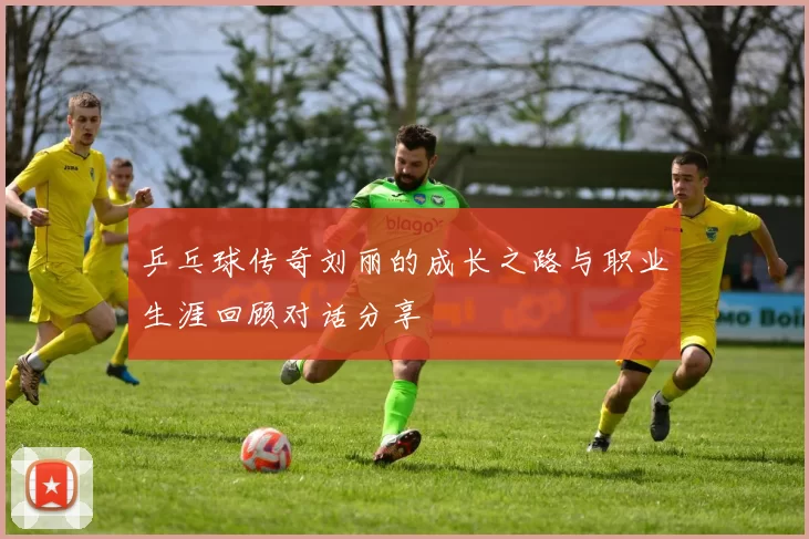 乒乓球传奇刘丽的成长之路与职业生涯回顾对话分享