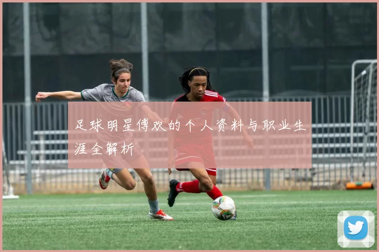 足球明星傅欢的个人资料与职业生涯全解析