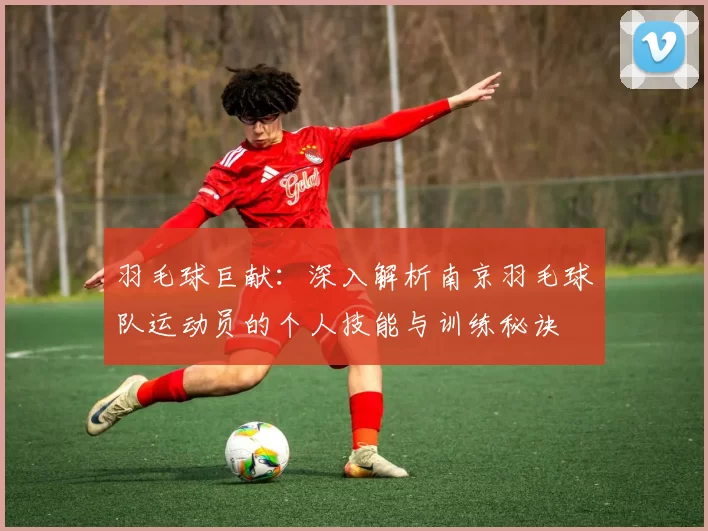 羽毛球巨献：深入解析南京羽毛球队运动员的个人技能与训练秘诀