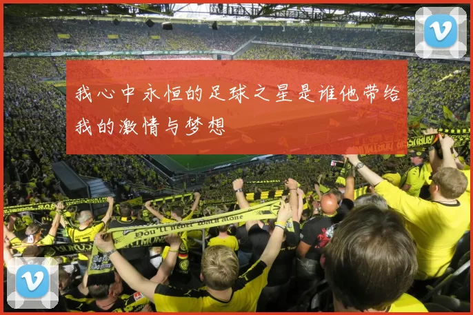 我心中永恒的足球之星是谁他带给我的激情与梦想