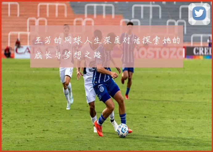 王芳的网球人生深度对话探索她的成长与梦想之路