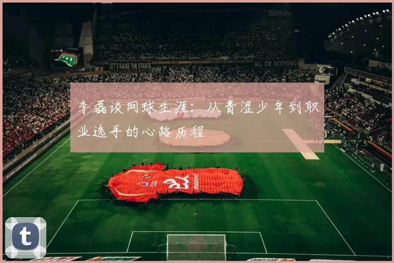 李磊谈网球生涯：从青涩少年到职业选手的心路历程