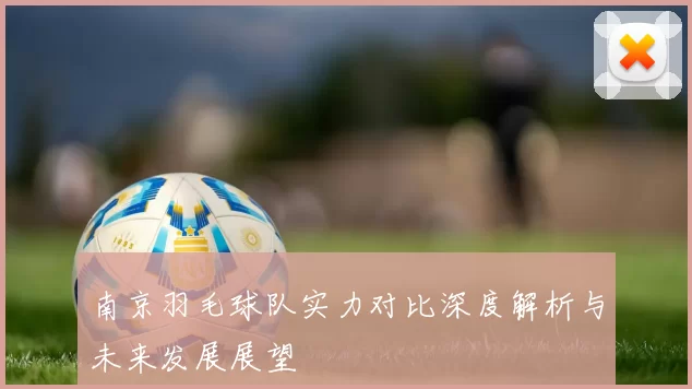 南京羽毛球队实力对比深度解析与未来发展展望