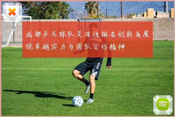 成都乒乓球队灵活性排名创新高展现卓越实力与团队合作精神