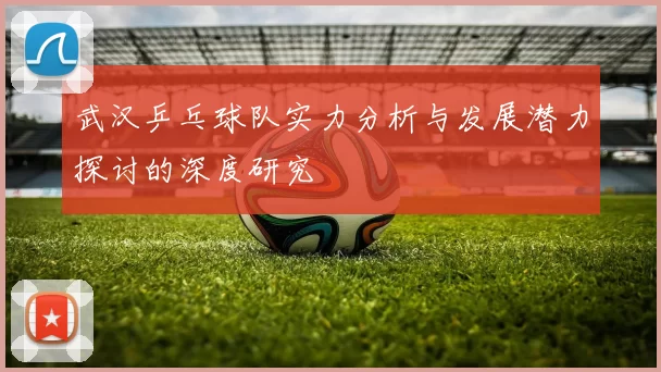 武汉乒乓球队实力分析与发展潜力探讨的深度研究