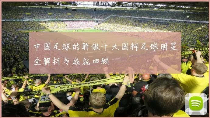 中国足球的骄傲十大国粹足球明星全解析与成就回顾