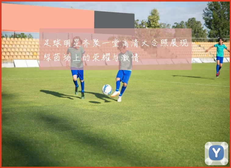 足球明星齐聚一堂高清大合照展现绿茵场上的荣耀与激情