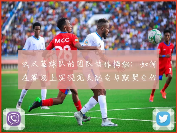 武汉篮球队的团队协作揭秘：如何在赛场上实现完美配合与默契合作