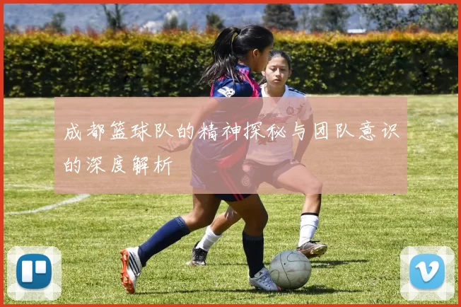 成都篮球队的精神探秘与团队意识的深度解析